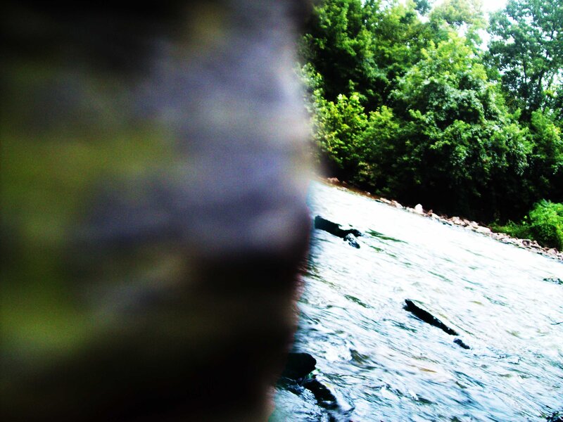 River Flowing Through Forest — Green, Natural, Afternoon, Photograph, Trees, Rocks, Water, Blue