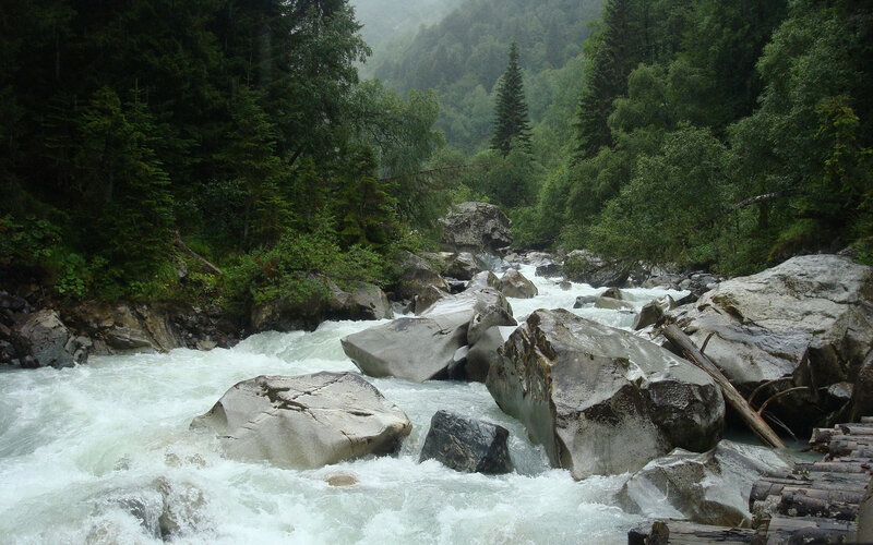 River Flowing Through Forest — Green, Natural, Photograph, Rocks