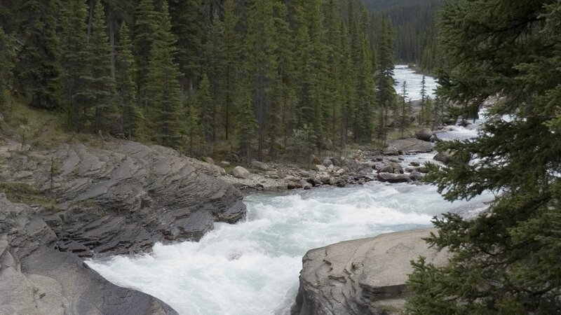 River Flowing Through Forest — Green, Natural, Photograph, Trees, Rocks, Gray