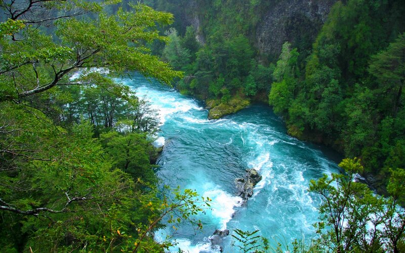 River Flowing Through Forest — Green, Natural, Photograph, Trees, Rocks, Rapids