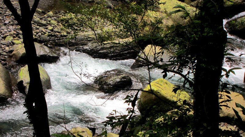 River Flowing Through Forest — Green, Natural, Photograph, Trees, Rocks