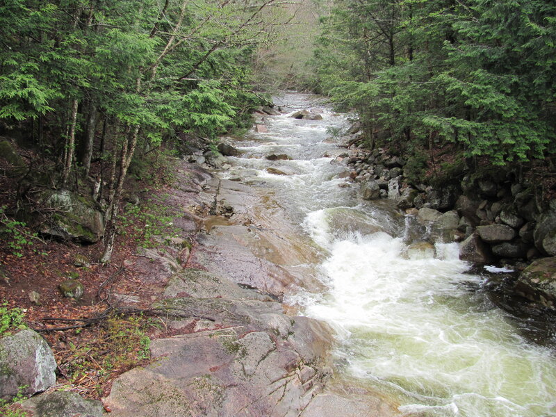 River Flowing Through Forest — Green, Natural, Spring