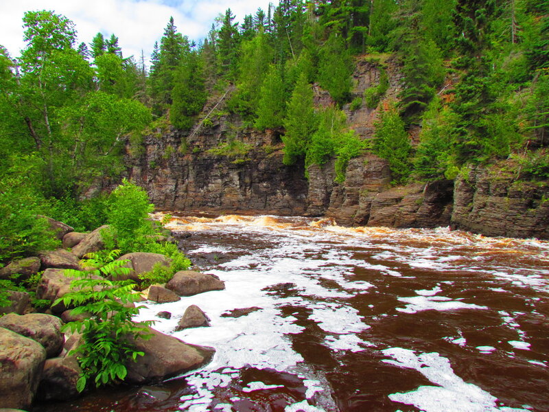 River Flowing Through Forest — Green, Natural, Summer