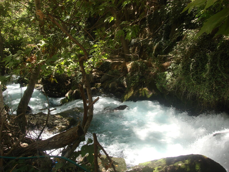 River Flowing Through Forest — Green, Natural