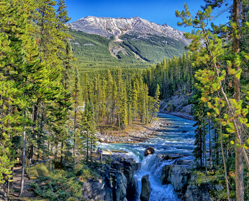 River Flowing Through Forest — Green, Serene, Afternoon, Photograph, Mountain, Trees, People