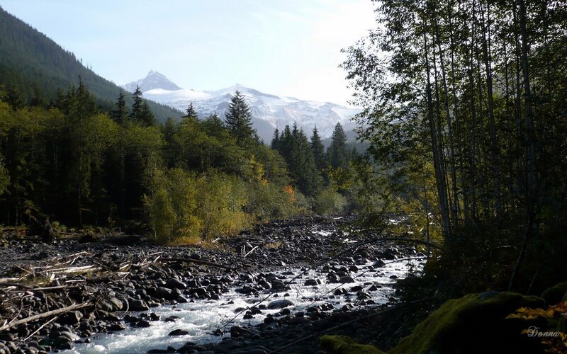 River Flowing Through Forest — Green, Serene, Afternoon, Photograph, Mountain, Trees, Rocks, Blue, Gray