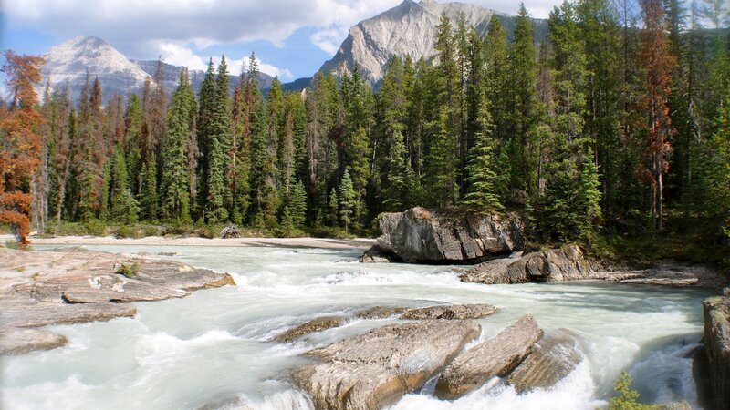 River Flowing Through Forest — Green, Serene, Afternoon, Photograph, Mountains, Trees, Rocks, Blue, Gray