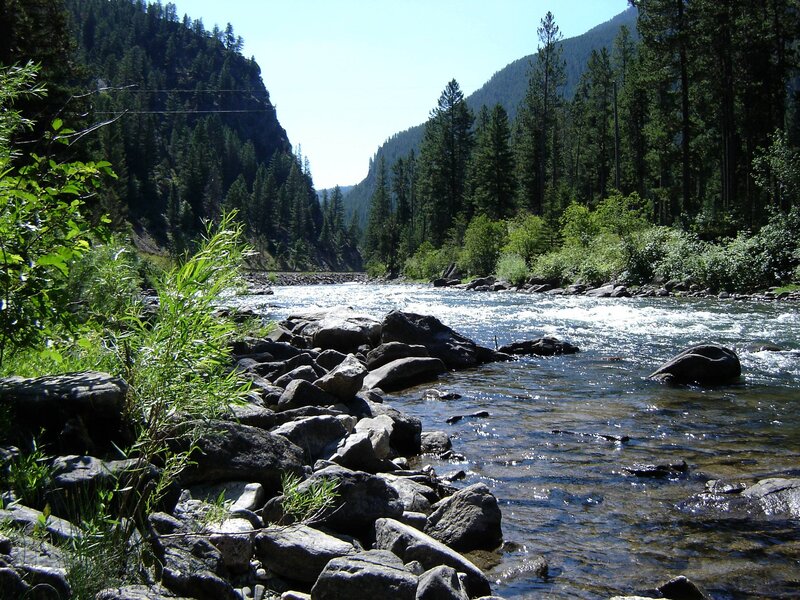 River Flowing Through Forest — Green, Serene, Afternoon, Photograph, Rocks, Trees, Mountains