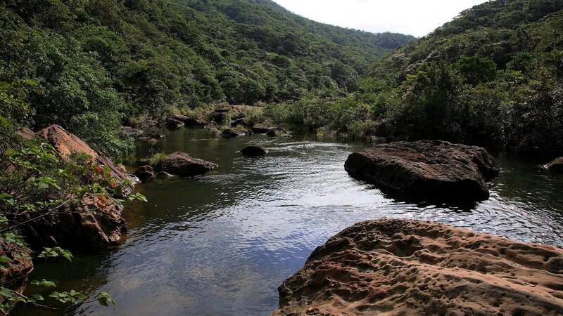River Flowing Through Forest — Green, Serene, Afternoon, Photograph, Rocks, Trees, Stream, Brown, Blue