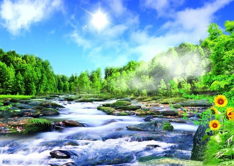River Flowing Through Forest — Green, Serene, Afternoon, Photograph, Sunflowers