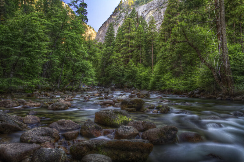 River Flowing Through Forest — Green, Serene, Afternoon, Photograph