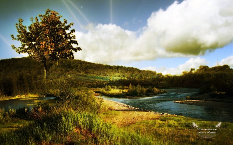 River Flowing Through Forest — Green, Serene, Afternoon, Photograph, Tree, Clouds