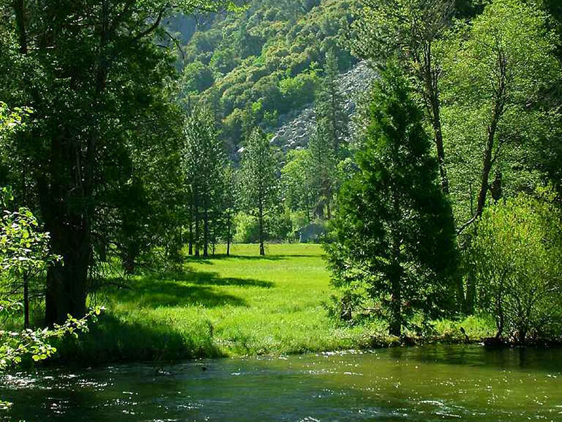 River Flowing Through Forest — Green, Serene, Afternoon, Photograph, Trees, Grass, Mountain