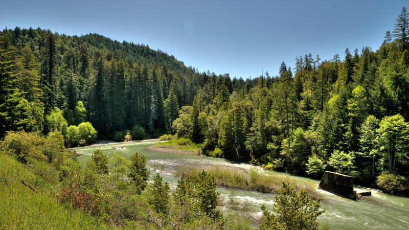 River Flowing Through Forest — Green, Serene, Afternoon, Photograph, Trees, Hillside
