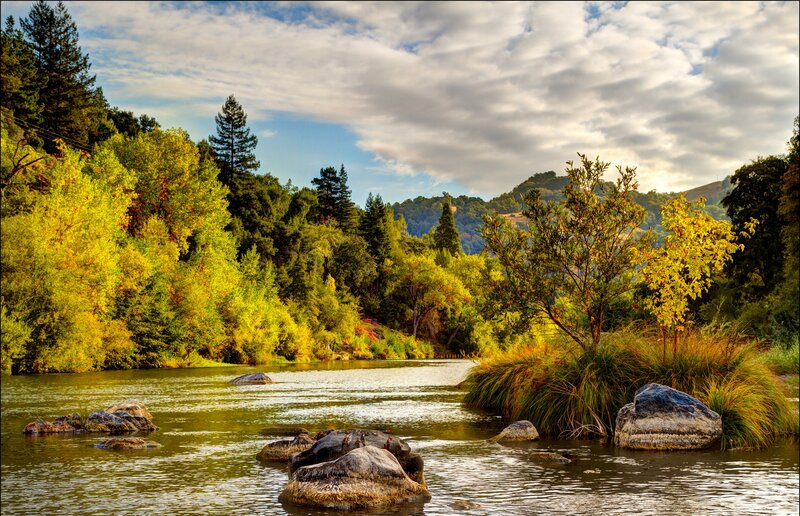 River Flowing Through Forest — Green, Serene, Afternoon, Photograph, Trees, Rocks, Clouds