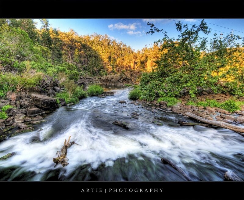 River Flowing Through Forest — Green, Serene, Afternoon, Photograph, Trees, Rocks, Driftwood