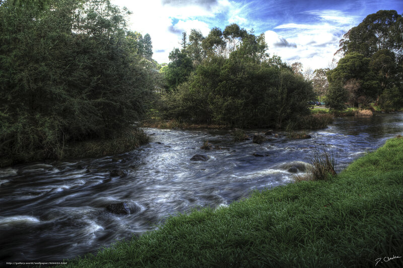 River Flowing Through Forest — Green, Serene, Afternoon, Photograph, Trees, Rocks, Grass, Blue, White