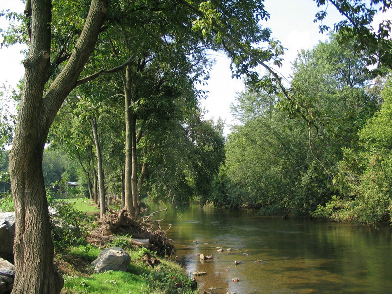 River Flowing Through Forest — Green, Serene, Afternoon, Photograph, Trees, Rocks, Grass, Brown, Blue