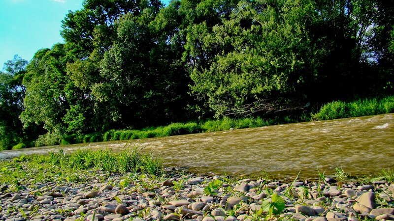 River Flowing Through Forest — Green, Serene, Afternoon, Photograph, Trees, Rocks, Grass, Brown