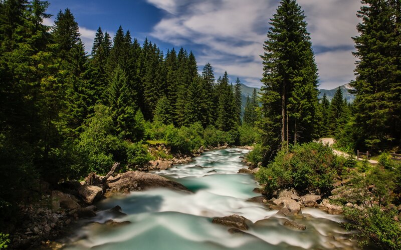 River Flowing Through Forest — Green, Serene, Afternoon, Photograph, Trees, Rocks, Mountains