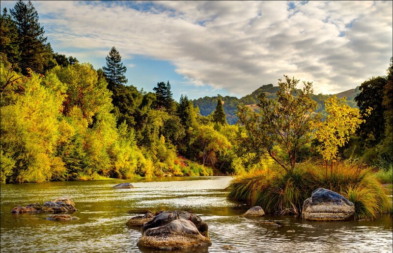 River Flowing Through Forest — Green, Serene, Afternoon, Photograph, Trees, Rocks, Sky, Blue, Yellow