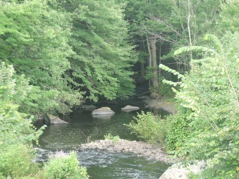 River Flowing Through Forest — Green, Serene, Afternoon, Photograph, Trees, Rocks, Stream, Brown, Black