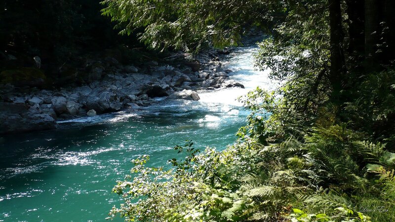 River Flowing Through Forest — Green, Serene, Afternoon, Photograph, Trees, Rocks, Water, Blue