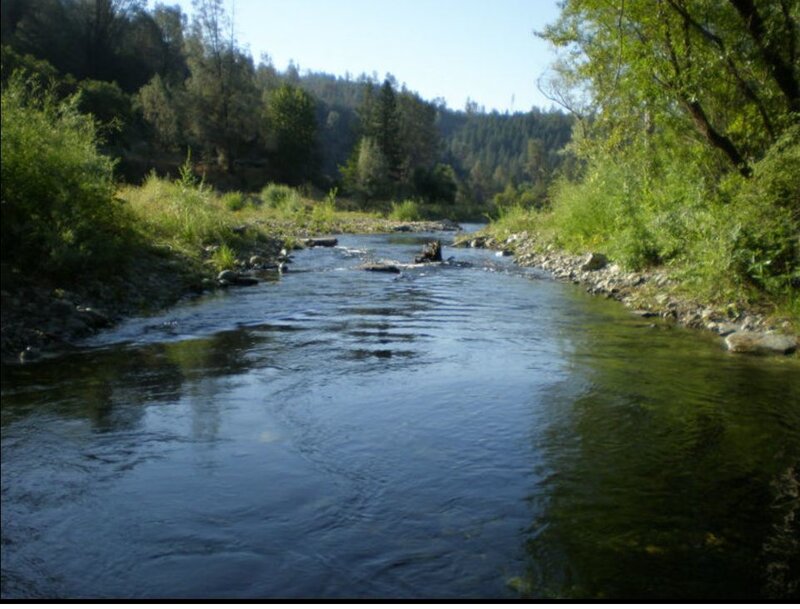 River Flowing Through Forest — Green, Serene, Afternoon, Photograph, Trees, Rocks, Water