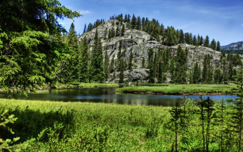 River Flowing Through Forest — Green, Serene, Afternoon, Photograph, Trees, Rocky Hill, Blue