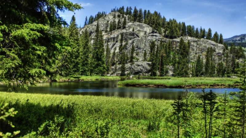River Flowing Through Forest — Green, Serene, Afternoon, Photograph, Trees, Rocky Hill