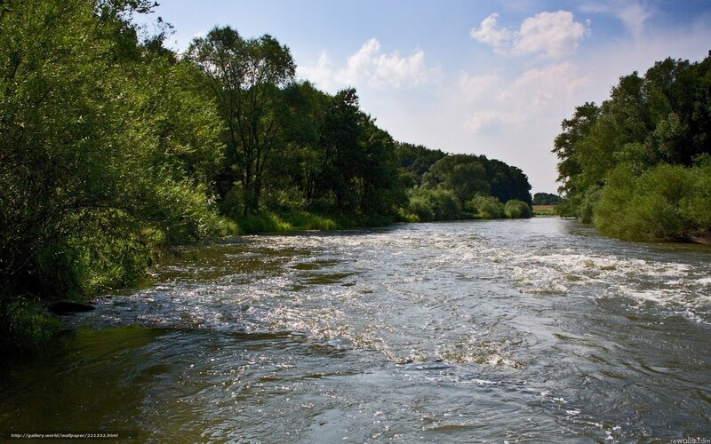 River Flowing Through Forest — Green, Serene, Afternoon, Photograph, Trees, Sky, Clouds