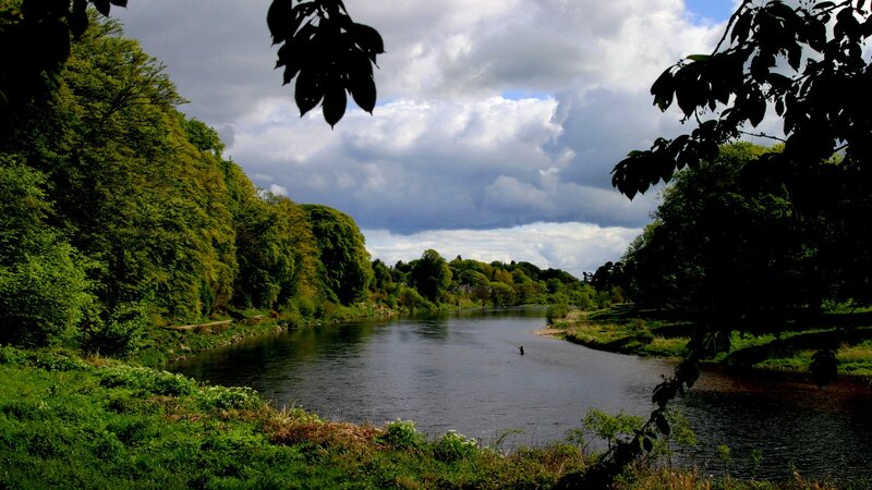 River Flowing Through Forest — Green, Serene, Afternoon, Photograph, Trees, Sky, Person