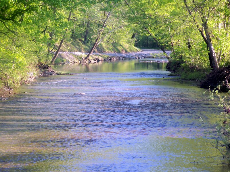 River Flowing Through Forest — Green, Serene, Afternoon, Photograph, Trees, Water, Rocks