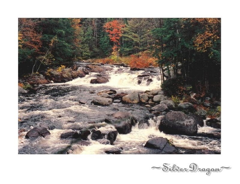 River Flowing Through Forest — Green, Serene, Autumn, Photograph