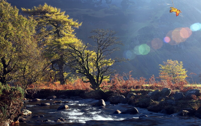 River Flowing Through Forest — Green, Serene, Autumn, Photograph, Trees, Mountain, Leaf