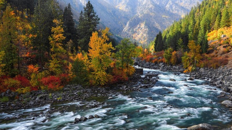 River Flowing Through Forest — Green, Serene, Autumn, Photograph, Trees, Mountains, Rocks