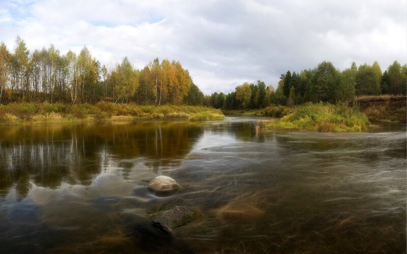 River Flowing Through Forest — Green, Serene, Autumn, Photograph, Trees, Rocks, Sky, Brown