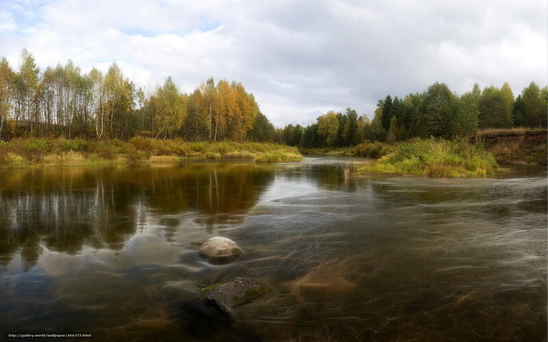 River Flowing Through Forest — Green, Serene, Autumn, Photograph, Trees, Rocks, Sky
