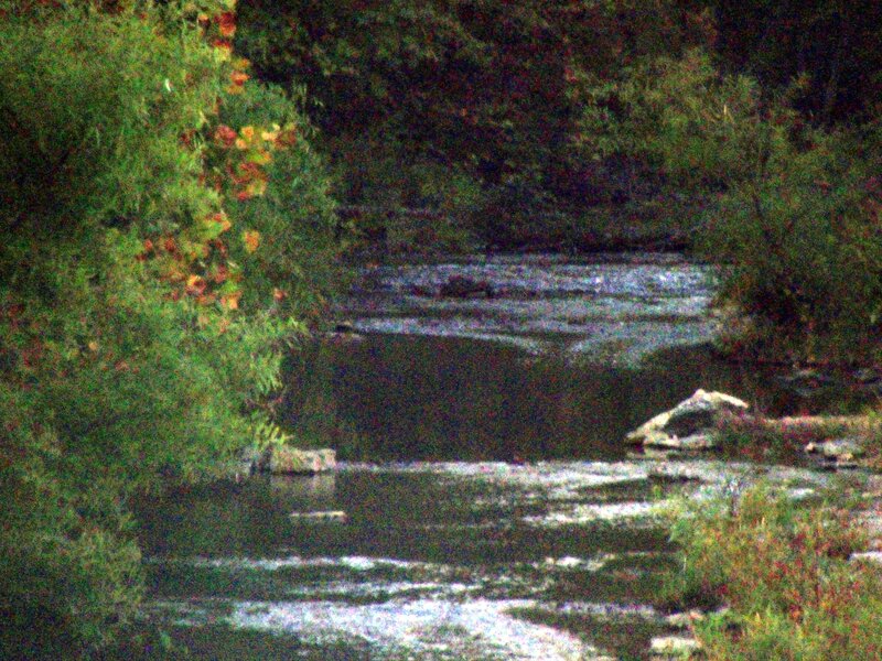 River Flowing Through Forest — Green, Serene, Autumn, Photograph, Trees, Rocks, Water
