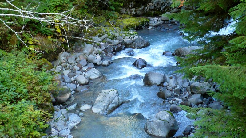 River Flowing Through Forest — Green, Serene, Morning, Photograph, Rocks, Trees, Stream, Blue