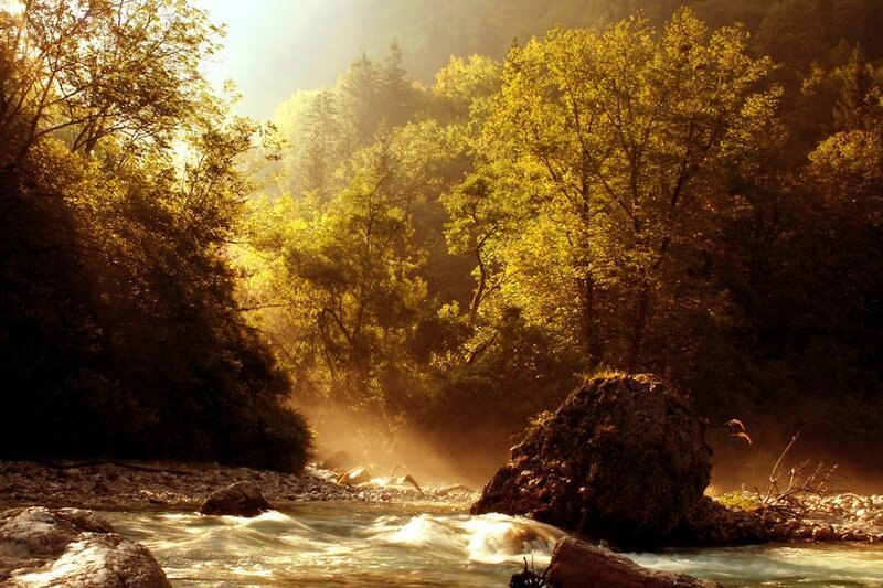 River Flowing Through Forest — Green, Serene, Morning, Photograph, Trees