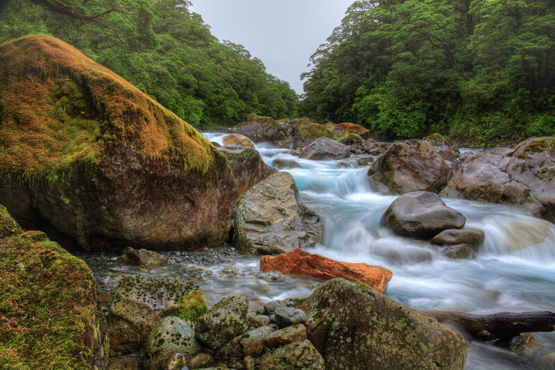 River Flowing Through Forest — Green, Serene, Photograph, Rocks