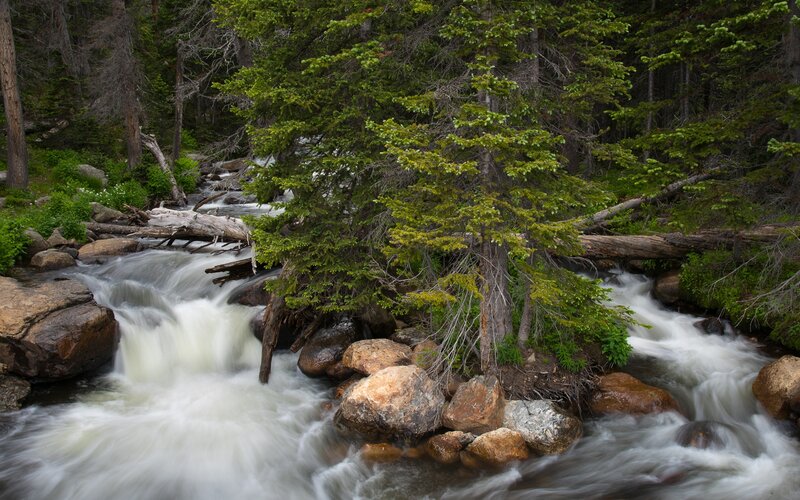 River Flowing Through Forest — Green, Serene, Photograph, Trees, Rocks