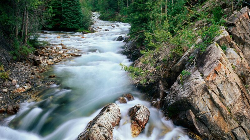 River Flowing Through Forest — Green, Serene, Photograph, Trees