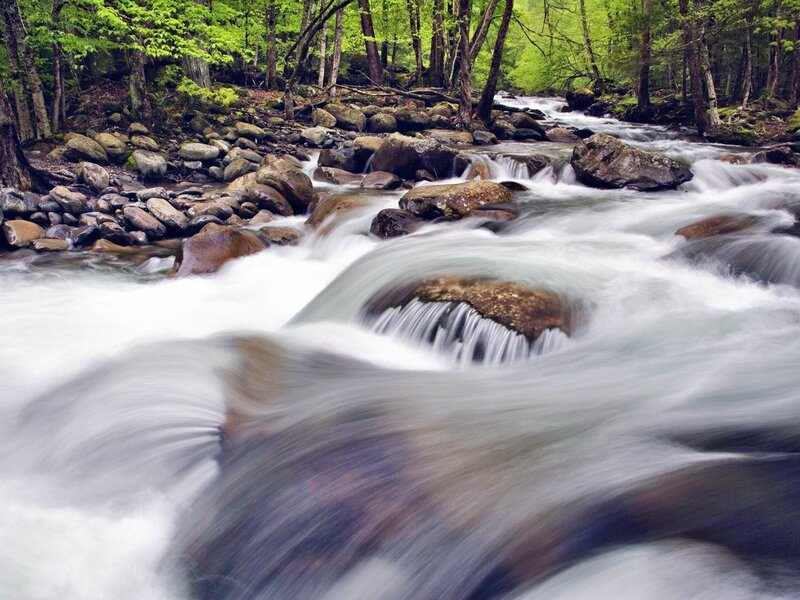 River Flowing Through Forest — Green, Serene, Spring, Photograph, Rocks
