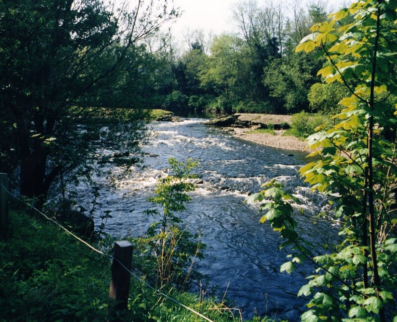 River Flowing Through Forest — Green, Serene, Spring, Photograph, Trees, Rocks, Fence