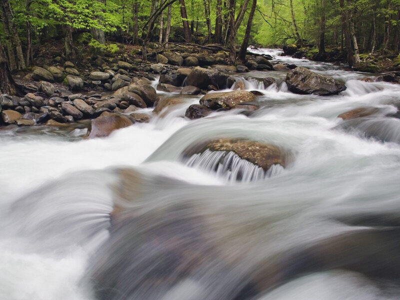 River Flowing Through Forest — Green, Serene, Spring, Photograph, Trees, Rocks, Waterfall, Brown