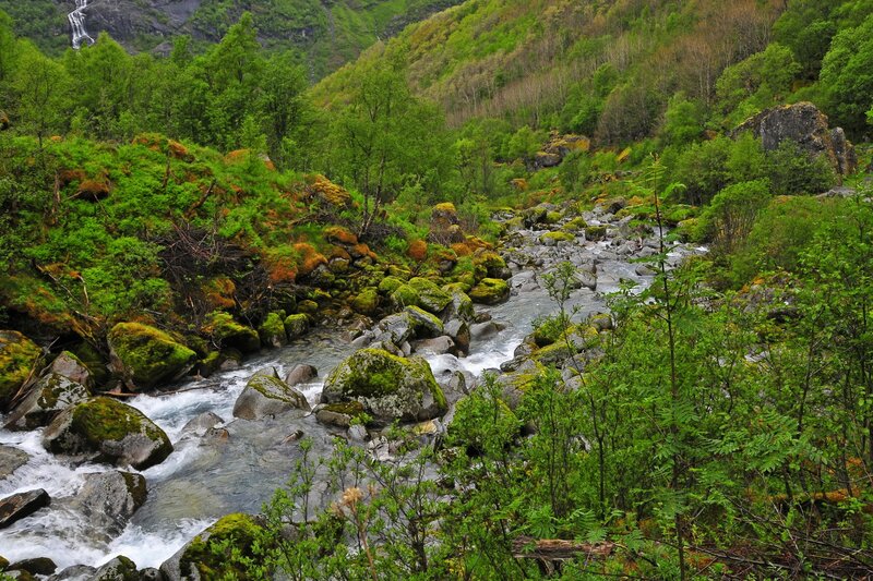 River Flowing Through Forest — Green, Serene, Spring, Photograph, Trees, Rocks, Waterfall, Gray