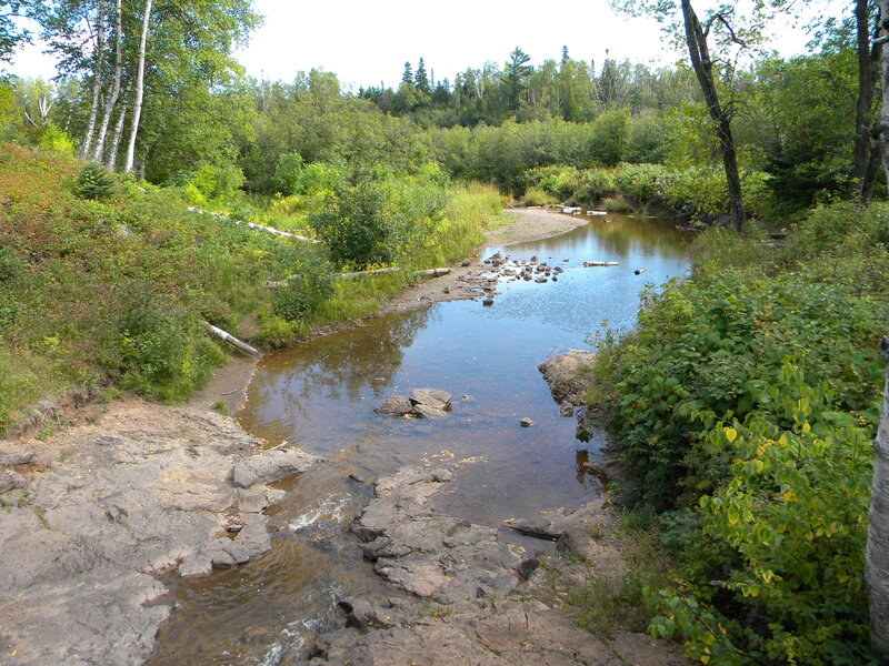 River Flowing Through Forest — Green, Serene, Summer, Photograph, Trees, Rocks, Logs