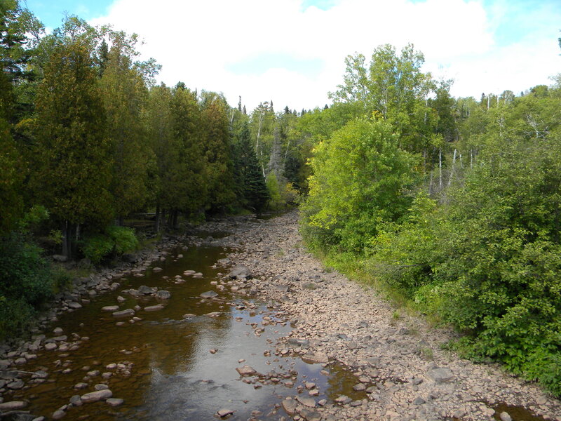 River Flowing Through Forest — Green, Serene, Summer, Photograph, Trees, Rocks, Stream, Brown